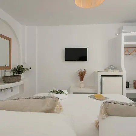 Ippokampos Beachfront Naxos City Room photo